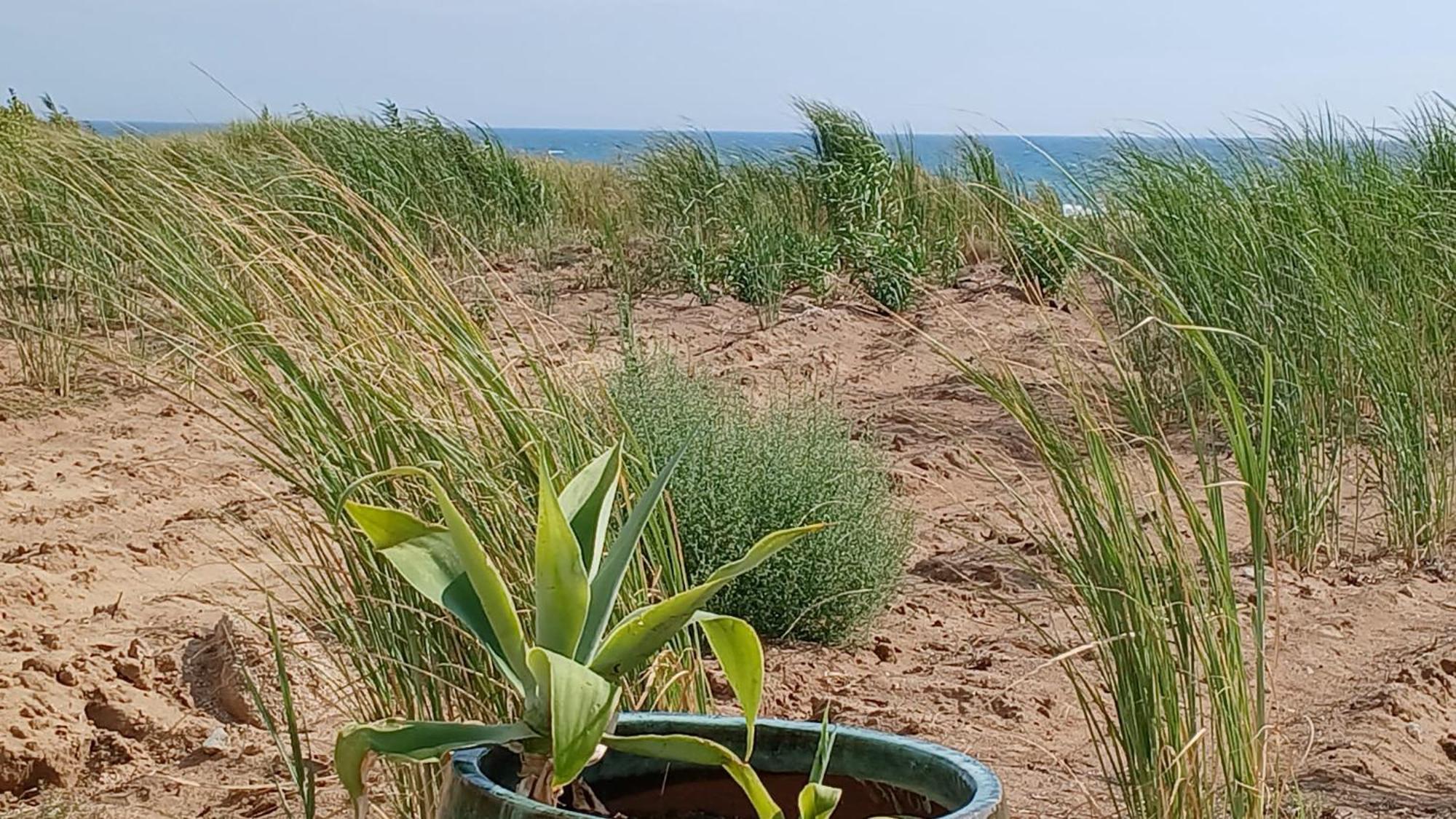 Vila Fin Fiori Menfi Exteriér fotografie